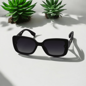 Photoroom 20241225 114225